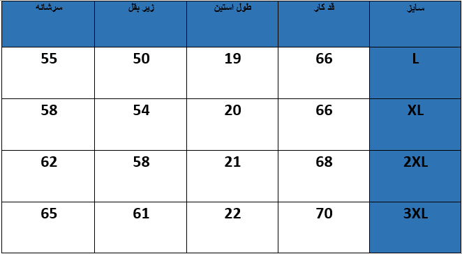 تیشرت باکسی کد0307